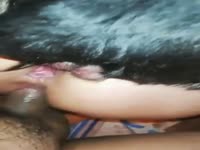 Video do Marcelo DP
